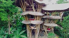 Is bamboo the building material of the future?