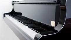 Piano vs Keyboard: Beginners’ Guide to the Differences, Pros & Cons and More | Piano Keyboard Reviews