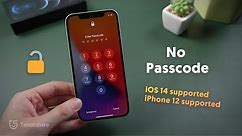 How to Get Into A Locked iPhone without the Password ( iOS 14 Supported) (iPhone 12 Supported)