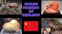 Hunan Museum of Geology ( Changsha: China)