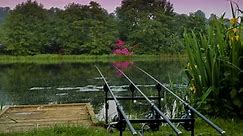 Belvoir Lakes, Grantham | Fishery Guide