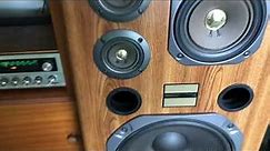 Pioneer CS-T7300-R Speakers