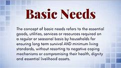 What Is The Definition Of (Basic Needs)?