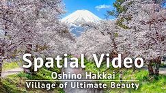 Oshino Hakkai - Mt. Fuji, Cherry Blossoms & Crystal-Clear Water: Village of Ultimate Beauty