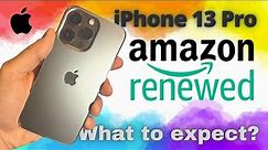 Amazon Renewed iPhone 13 Pro - Excellent condition What to expect?