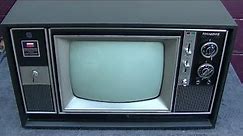 Panasonic Panavision Commercial Hybrid Color Television Repair Rare VRT TV