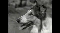 Lassie - Episode #326 - "Lassie to the Rescue" - Season 10, Ep. 3 - 10/1/1963