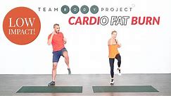 Low impact home cardio workout for ALL fitness levels