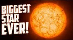 The New Largest Star in the Universe 2024