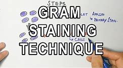 Gram Staining | Mechanism & Procedure