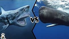 MEGALODON VS SPERM WHALE - What If They Fought?