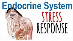 Stress response physiology