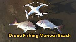 Drone Fishing For Snapper - Muriwai Beach New Zealand - AEE Condor Fishing Drone