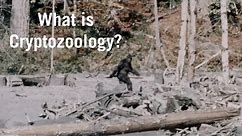 What Is Cryptozoology?