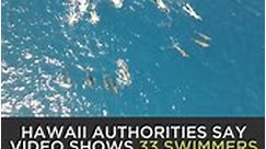 Hawaii authorities say video shows 33 swimmers harassing wild pod of dolphins