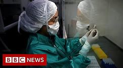 Coronavirus: What is a pandemic and why use the term now? - BBC News