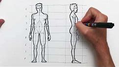 Como dibujar la figura humana paso a paso: El cuerpo del hombre y sus proporciones.