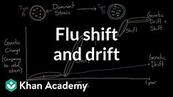 Flu shift and drift | Infectious diseases | Health & Medicine | Khan Academy
