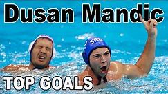 DUSAN MANDIC - Top Goals