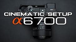 Sony a6700 Setup Tutorial: The Best Cinematic Video Settings