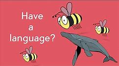 What is language?