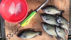 How To: The QUICKEST Way To Fillet CRAPPIE!