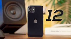 Review iPhone 12 Indonesia - Calon paling LARIS.