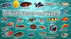 All Fish Names and Types in 2 minutes