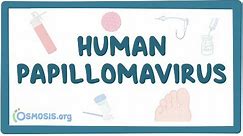 Human papillomavirus or HPV