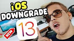 How to Downgrade iOS 14 to iOS 13 Without Computer - Downgrade iOS 14 to iOS 13 Without Losing Data