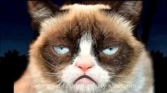 Grumpy Cat Happy Birthday Song YouTube