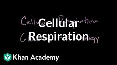 Introduction to cellular respiration | Cellular respiration | Biology | Khan Academy
