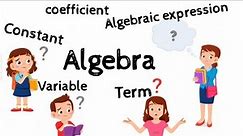 Algebra ,Variable,Terms,Constant, Coefficient and Algebraic Expression.