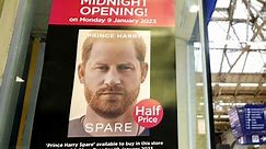 Prince Harry's biography will not reconcile the Heir and the Spare