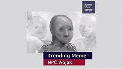 Know Your Meme 101: NPC Wojak