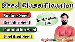 Classification of seed | Types of seed | Breeder | Foundation | Certified | Agriculture RS Rajput
