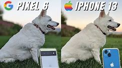 Google Pixel 6 vs iPhone 13 Camera Comparison