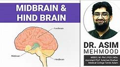 Biology of Mid Brain and Hind Brain | Hindi / Urdu