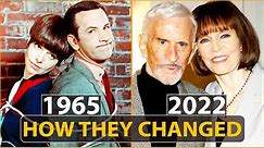 Get Smart 1965 Cast Then and Now 2022 How They Changed