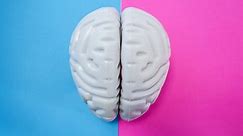 Are male and female brains different?