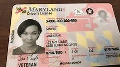 Don't have your REAL ID documents? It could take some drivers months to get them