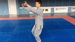 Wushu Yang Tai chi 40 form