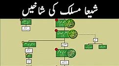 Branches Of Shia | Sects Of Shia | 12 Imam Family Tree | How Many Sects Shia Has? #shia