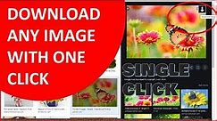 Download Any Image Photo with One Click Quickly | Google Images downloader