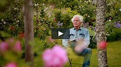 W.S. Merwin: Even Though the Whole World Is Burning