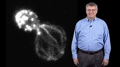 David Drubin (UC Berkeley) 4: Actin assembly in budding yeast