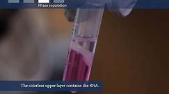 How to isolate RNA from tissue or cells