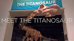 Meet the Biggest Dinosaur Ever on Display