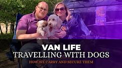 VAN LIFE with Dogs - How to secure and carry dogs in a Campervan