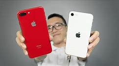 So sánh iPhone 8 Plus & iPhone SE 2020